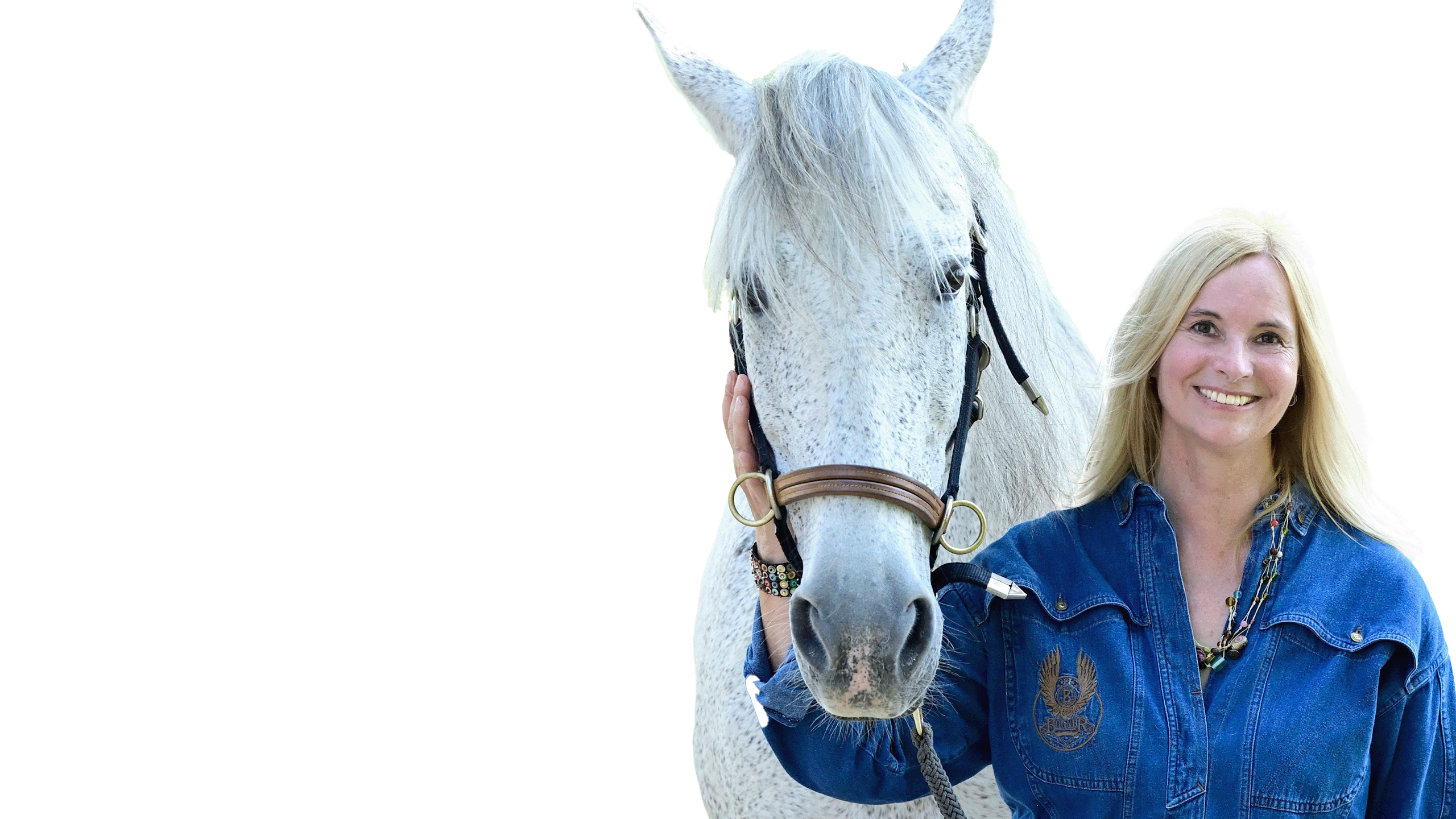 hero_header02